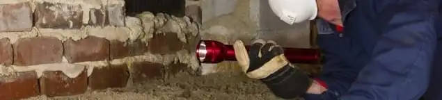 Pest control technician inspecting a crawl space for ant activity and entry points in Clearwater, FL