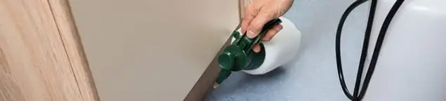 Bed bug exterminator treating baseboards and cracks with targeted spray in Clearwater, FL