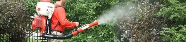 Mosquito control technician fogging shrubs and landscaping for mosquito treatment in Clearwater, FL