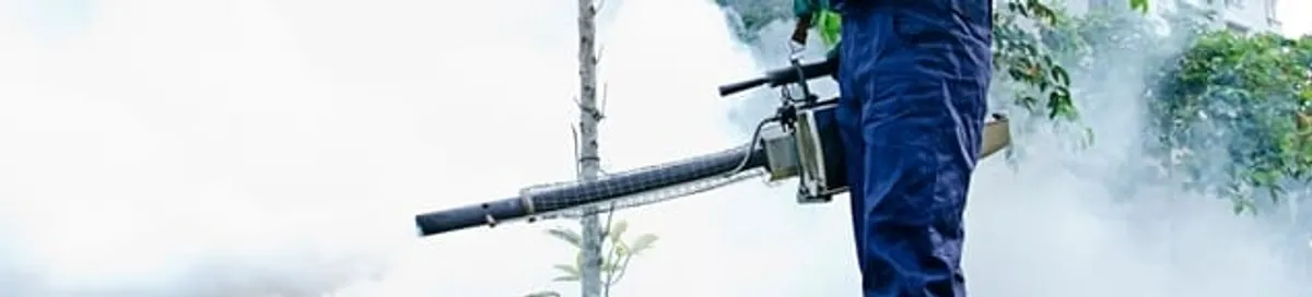 Pest control technician fogging an outdoor area for insect control in Clearwater, FL