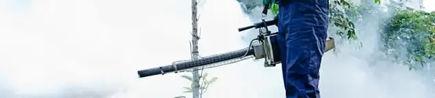Pest control technician fogging an outdoor area for insect control in Clearwater, FL