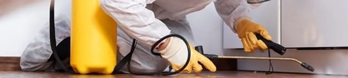 Roach exterminator treating cracks and crevices along kitchen baseboards in Clearwater, FL