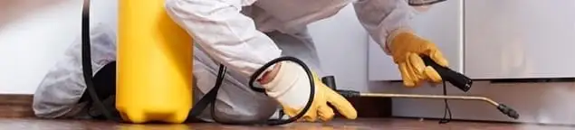 Roach exterminator treating cracks and crevices along kitchen baseboards in Clearwater, FL