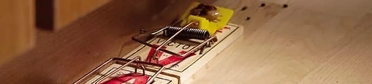 Rodent trap set indoors for rodent control and prevention in Clearwater, FL