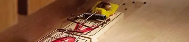 Rodent trap set indoors for rodent control and prevention in Clearwater, FL