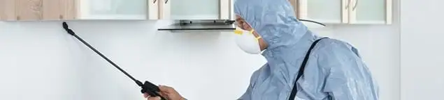 Termite treatment technician applying indoor pest control spray in Clearwater, FL