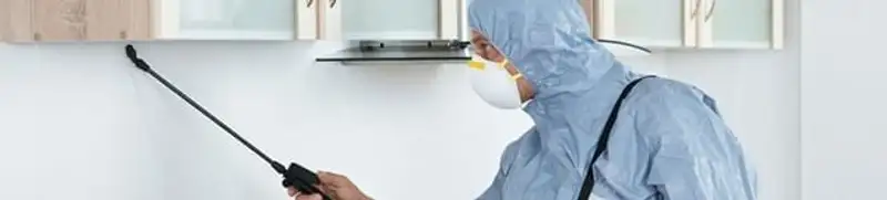 Termite treatment technician applying indoor pest control spray in Clearwater, FL